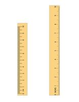 misurazione lunghezza con righello.misurazione nel centimetri e pollici.righello vettore