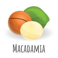 macadamia icona, cartone animato stile vettore