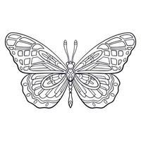 bellissimo farfalla mandala arti isolato su bianca sfondo vettore