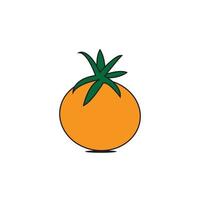 illustrazione di frutta arancione su sfondo bianco vettore