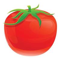 rosso eco pomodoro icona, cartone animato stile vettore