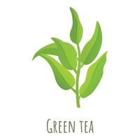 verde tè foglia icona, cartone animato stile vettore