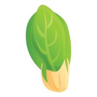 vegetariano cavolo icona, cartone animato stile vettore