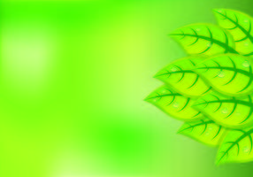 Sfondo di foglie verdi naturali vettore