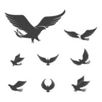 vettore del modello dell'icona dell'ala del falco
