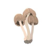 commestibile fungo piatto icona. pelle scamosciata bolete fungo. vettore illustrazione.