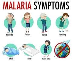 infografica di informazioni sui sintomi della malaria vettore