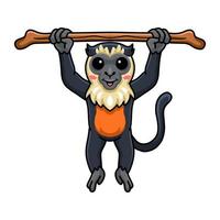 carino poco Diana scimmia cartone animato sospeso su albero vettore