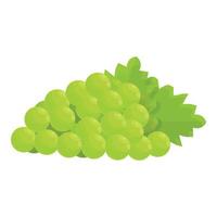 francese verde uva icona cartone animato vettore. Francia vino uva vettore