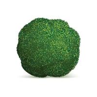 broccoli cavolo icona, realistico stile vettore