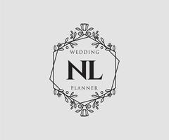 nl iniziali lettera nozze monogramma loghi collezione, mano disegnato moderno minimalista e floreale modelli per invito carte, Salva il Data, elegante identità per ristorante, boutique, bar nel vettore