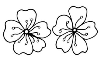 sakura grafico fiore nero bianca isolato schizzo impostato illustrazione vettore