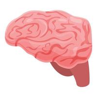 umano cervello spinale icona, cartone animato stile vettore