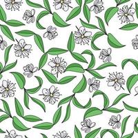 bianca fiori con verde ramoscelli senza soluzione di continuità modello, floreale elementi su un' bianca sfondo vettore