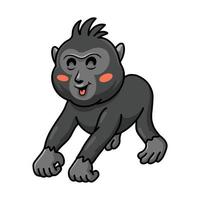 carino poco crestato nero macaco cartone animato vettore