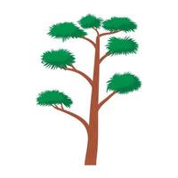 alto pino albero icona, cartone animato stile vettore