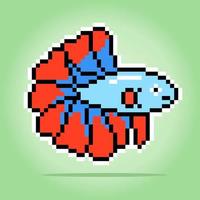 8 bit pixel di siamese combattente pesce. animale pixel nel vettore illustrazione per gioco bene.