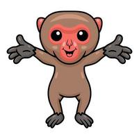 carino poco giapponese macaco cartone animato raccolta mani vettore
