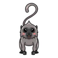 carino poco grigio langur scimmia cartone animato vettore