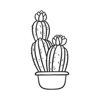 mano disegnato fioritura cactus nel pentola vettore