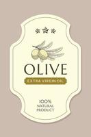oliva olio etichetta modello con oliva ramo nel Vintage ▾, mano disegnato e linea stile vettore
