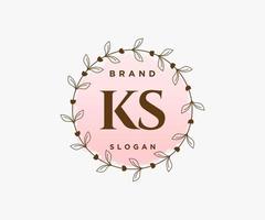 iniziale ks femminile logo. utilizzabile per natura, salone, terme, cosmetico e bellezza loghi. piatto vettore logo design modello elemento.