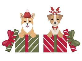 Due cuccioli siamo seduta nel regalo scatole. carino animali domestici con vacanza cappelli. inverno vacanza stagione. saluto carta per nuovo anno, Natale. illustrazione per cane amanti, veterinario cliniche, animale domestico negozi. vettore