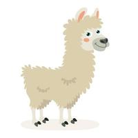 cartone animato illustrazione di un' lama vettore