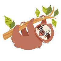 cartone animato illustrazione di un' bradipo vettore