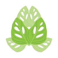 Monstera adansonii foglia logo, verde pianta vettore, albero vettore, raro foglia illustrazione vettore