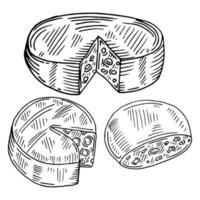 formaggio biologico latte burro fresco cibo vettore mano disegnato illustrazione impostare, menù etichetta, bandiera manifesto identità, marchio. elegante design con schizzo illustrazione di formaggio variazioni cucina schizzo.