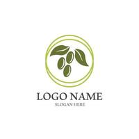 extra vergine oliva olio logo design vettore