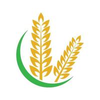 immagini del logo di grano vettore