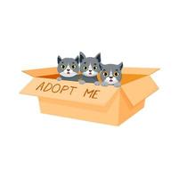 adottare un' gatto, carino gattini seduta nel scatola di cartone scatola vettore