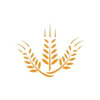 modello di logo di grano vettore