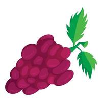 mazzo di uva icona, cartone animato stile vettore