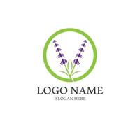 fresco lavanda fiore icona logo vettore