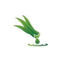 illustrazione di immagini del logo a base di erbe cosmetiche aloe vera vettore
