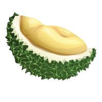 tagliato metà durian icona, cartone animato stile vettore