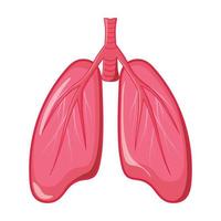 umano polmone corpo anatomia vettore illustrazione animazione per piatto design