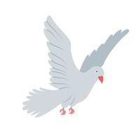 bianca colomba animale vettore illustrazione icona Immagine