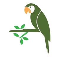 pappagallo logo icona design vettore