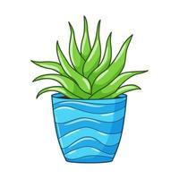 vettore cartone animato aloe nel pentola. interno succulento pianta con carnoso le foglie. Casa pianta per casa e interno. colorato botanico scarabocchio illustrazione isolato su bianca sfondo.