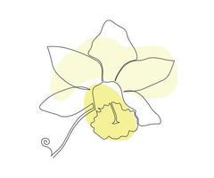 il Narciso fiore è disegnato a mano nel un' minimalista stile, nel il tecnica di un' singolo linea, un' monolinea. cosmetici simbolo, bellezza salone logo vettore