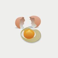 illustrazione di un' rotto pollo uovo per prima colazione e conchiglie vettore