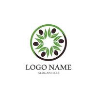 extra vergine oliva olio logo design vettore illustrazione