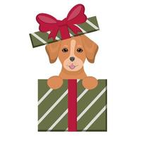 carino cucciolo si siede nel regalo scatole. contento compleanno carta. carino animali domestici per congratulazione con compleanno, nuovo anno, Natale. illustrazione per cane amanti, veterinario cliniche, animale domestico negozi. vettore