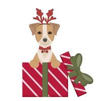 cane Jack russel si siede nel regalo scatole. contento compleanno carta. carino animali domestici per congratulazione con compleanno, nuovo anno, Natale. illustrazione per cane amanti, veterinario cliniche, animale domestico negozi. vettore