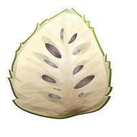 fresco durian icona cartone animato vettore. soursop annona vettore