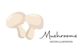 cartone animato vettore icona illustrazione di fungo champignon. fresco cartone animato biologico fungo isolato su bianca sfondo Usato per rivista, prenotare, manifesto, carta, menù coperchio, ragnatela pagine.